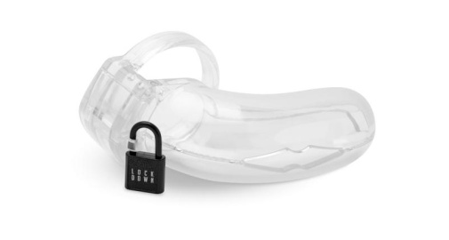 Lockdown - Chastity Cage L - Clear photo